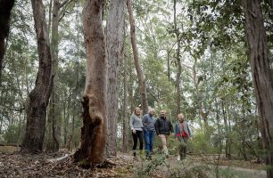 72 Hours in the Blue Mountains