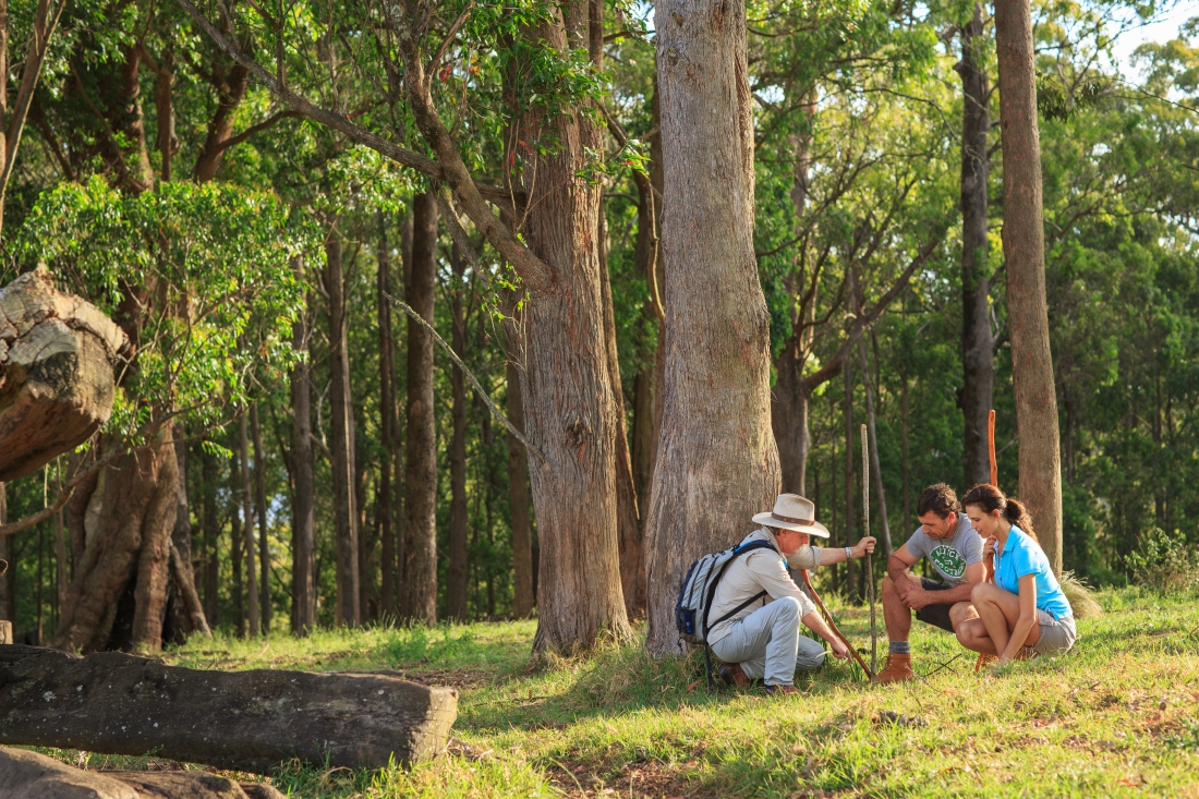 Guided Walk - Spicers Retreats - Guided Walk