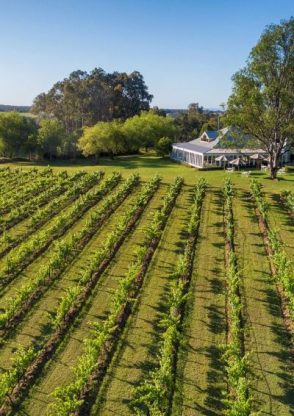 Spicers Vineyards Estate