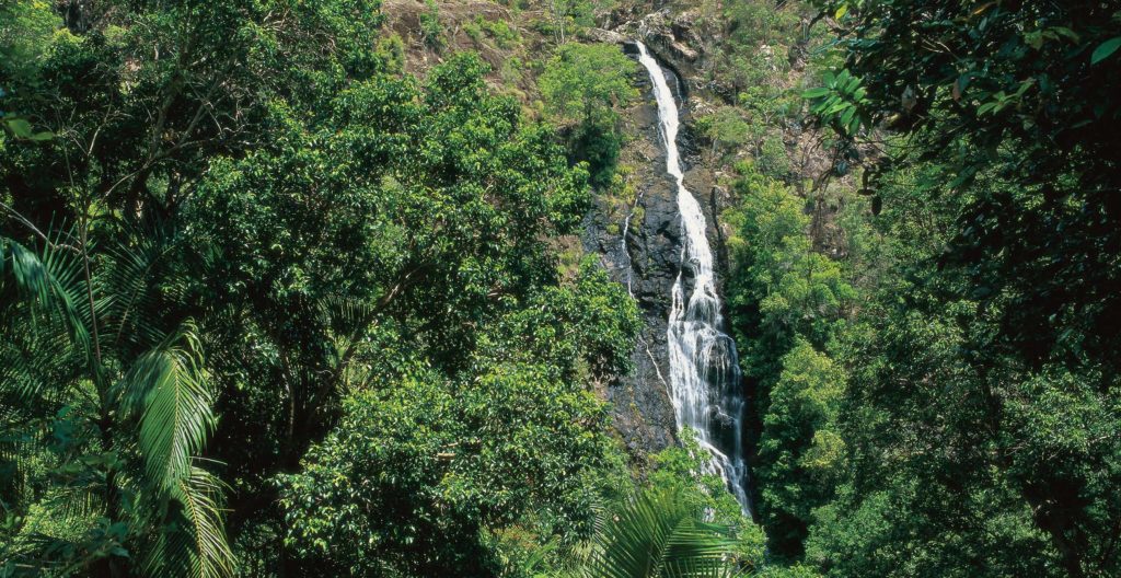 Mapleton Falls